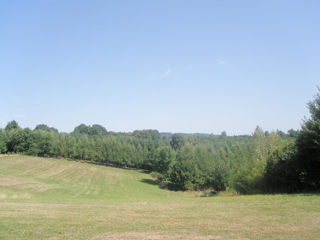La Ferme De Leychoisier Bed & Breakfast Bonnac-la-Cote Luaran gambar